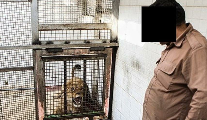 کشف یک باغ وحش غیر مجاز در “خمینی شهر”