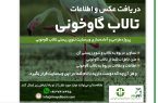 فراخوان دریافت عکس و اطلاعات از تالاب بین المللی گاوخونی