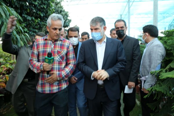 بازدید وزیر جهاد کشاورزی از گلخانه ای با تولید ۱۴۰گونه بن سای در شهرستان اسلامشهر