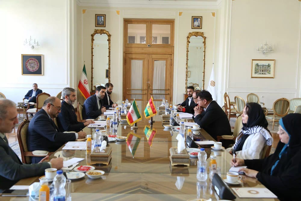 دکترباقری در دیدار با معاون وزیر روابط خارجی بولیوی : ایران آمادگی دارد تا تجربه چهار دهه پایداری و پیشرفت را با کشورهای مستقل به اشتراک بگذارد