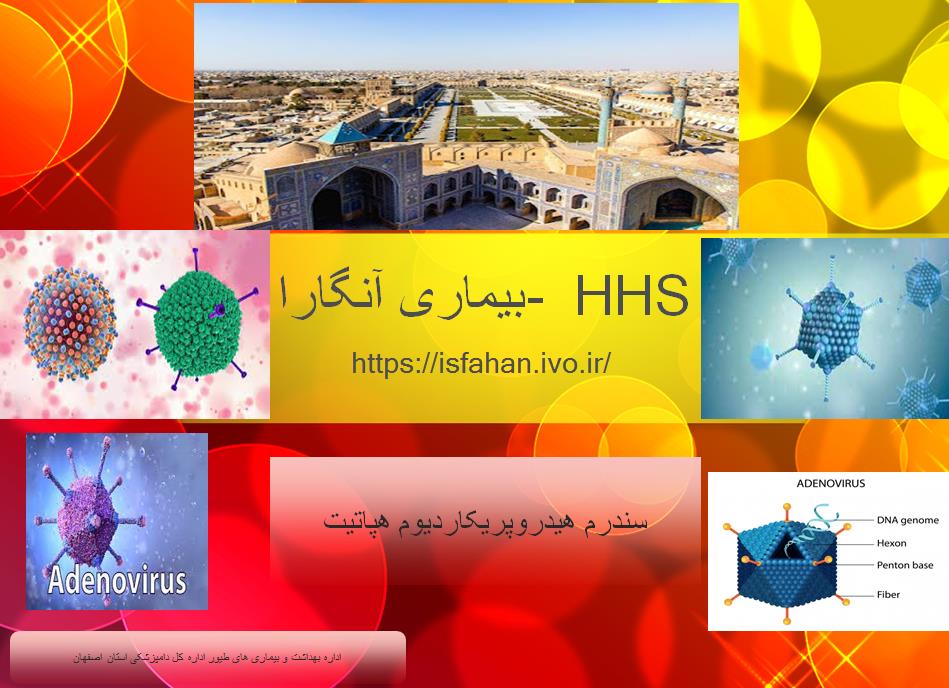 برگزاری وبینار آموزشی توجیهی بیماری آنگارا و آخرین وضعیت بیماری در استان اصفهان
