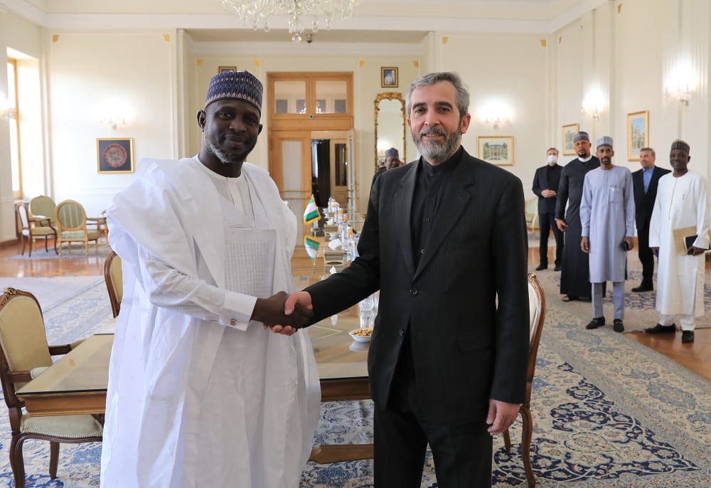 دیدار باقری با رئیس و اعضای گروه دوستی پارلمانی نیجریه