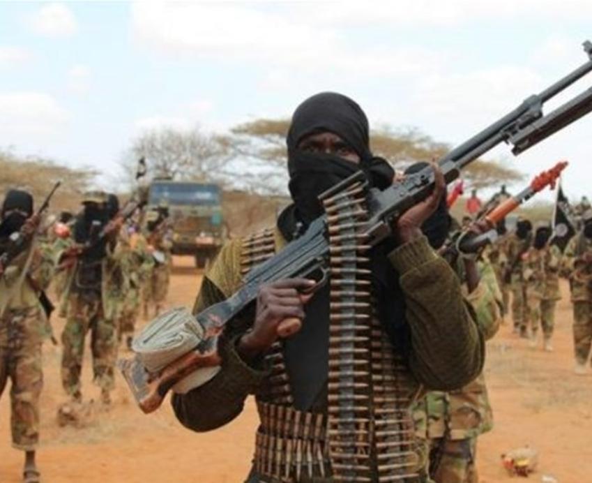 کشته شدن یکی از سرکردگان «الشباب» و ۱۴ تروریست دیگر در سومالی