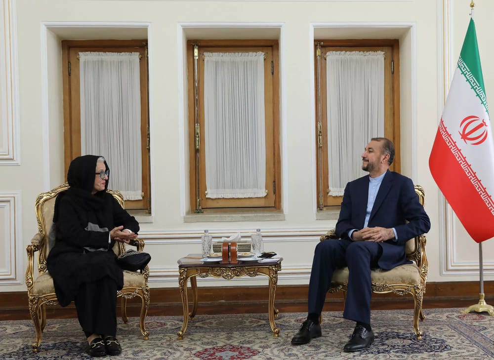 مدیر دفتر منطقه ای یونسکو با دکتر امیرعبداللهیان دیدار کرد