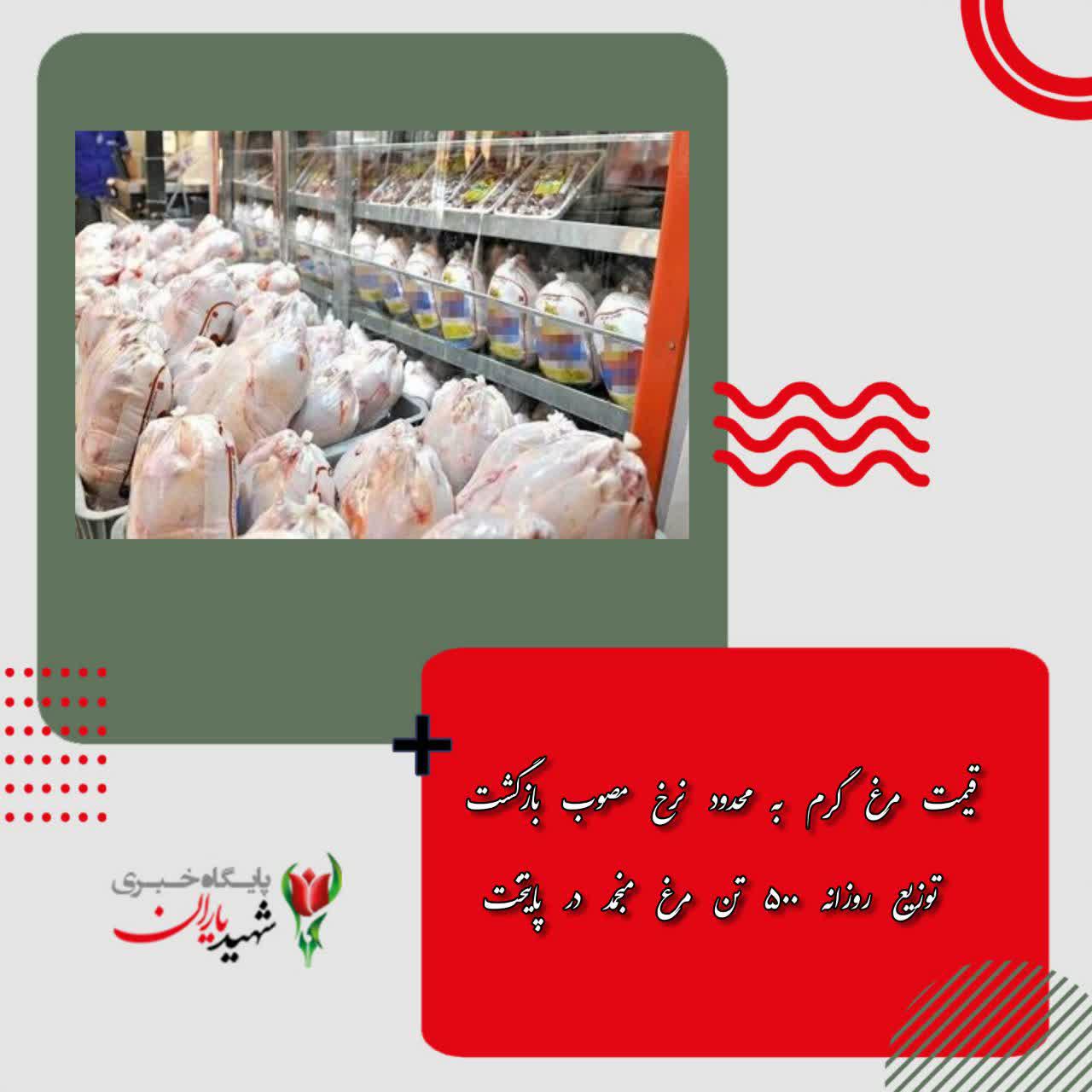 قیمت مرغ گرم به محدود نرخ مصوب بازگشت/ توزیع روزانه ۵۰۰ تن مرغ منجمد در پایتخت