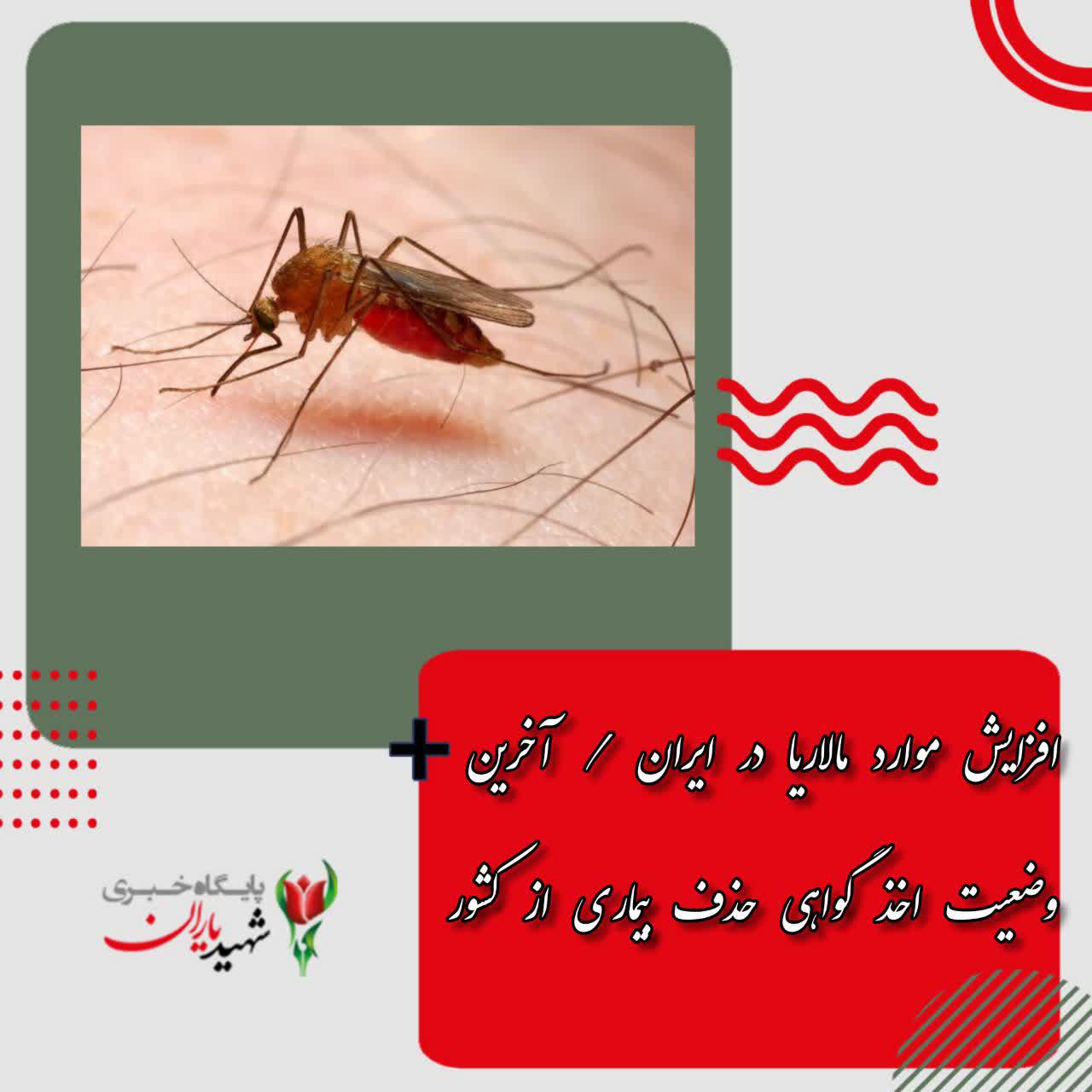 افزایش موارد مالاریا در ایران / آخرین وضعیت اخذ گواهی حذف بیماری از کشور