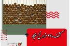 کشف ۳۹۰ هزار نخ سیگار قاچاق در فسا