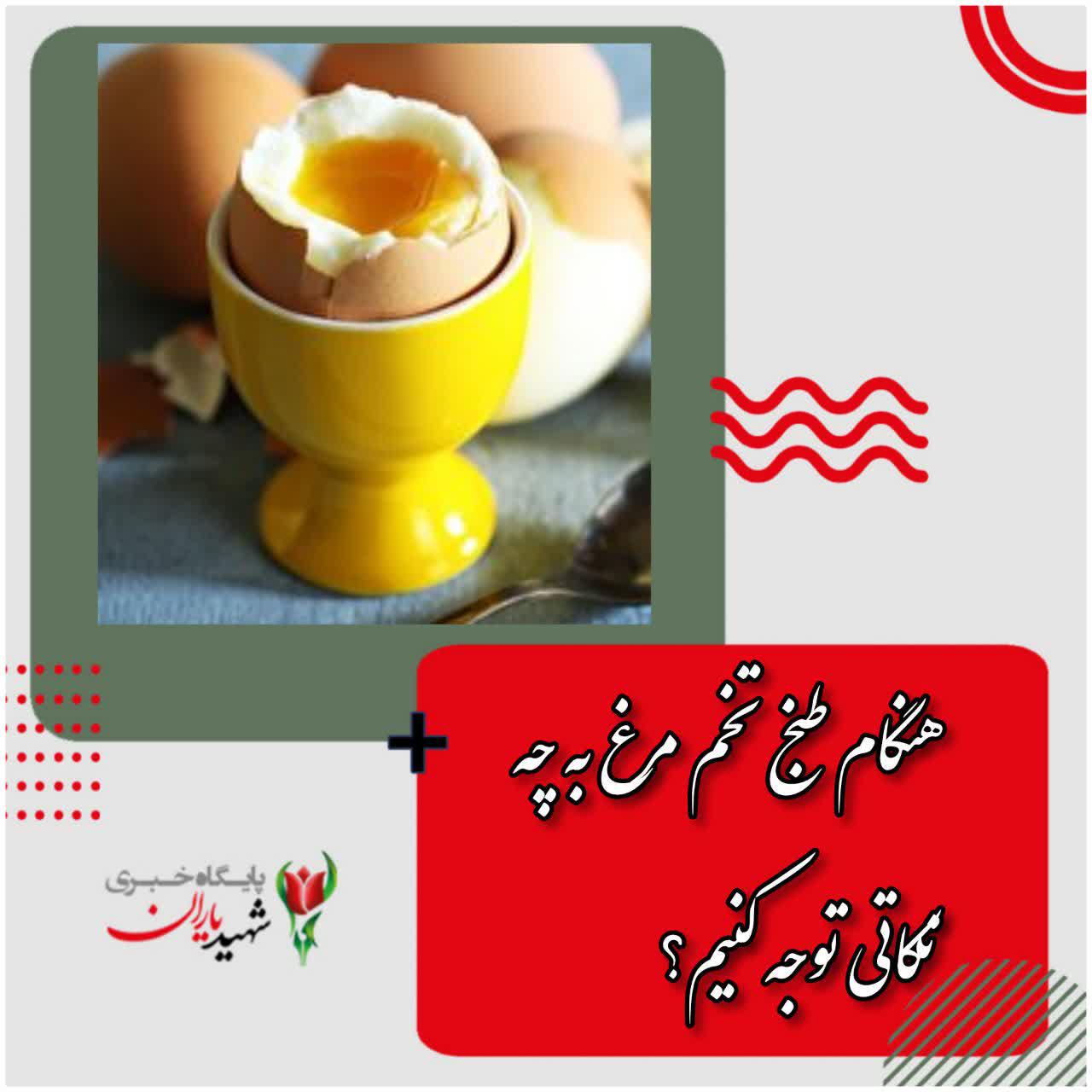 هنگام طبخ تخم مرغ به چه نکاتی توجه کنیم؟