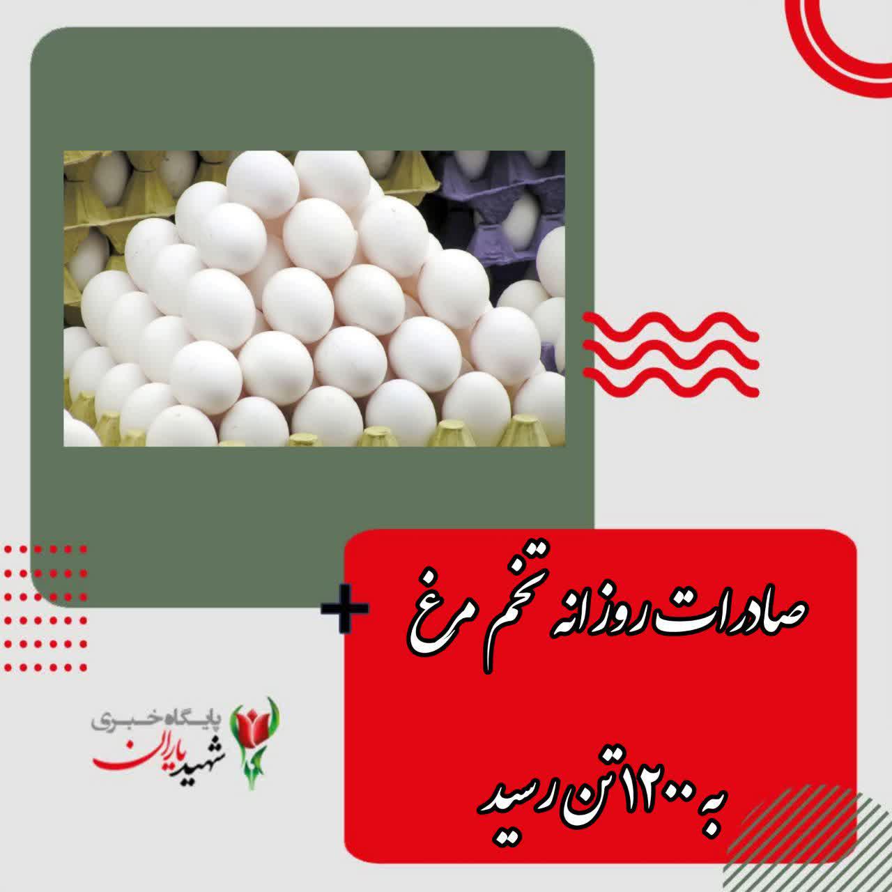 صادرات روزانه تخم مرغ به ۱۲۰۰ تن رسید