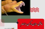 ساختن سوزن واکسن با الهام از نیش مار