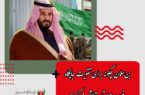 بن‌سلمان چگونه برای تقویت جایگاه خود در عربستان تلاش می‌کند؟