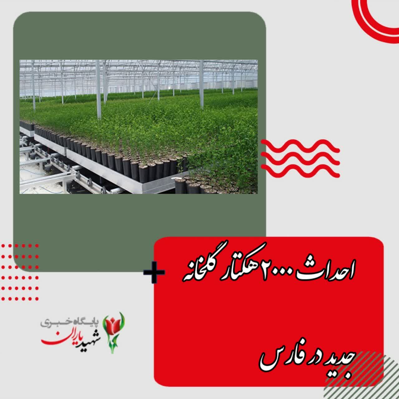 احداث ۲۰۰۰ هکتار گلخانه جدید در فارس