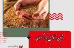 تاًمین و توزیع بذور گواهی شده گندم در کوار