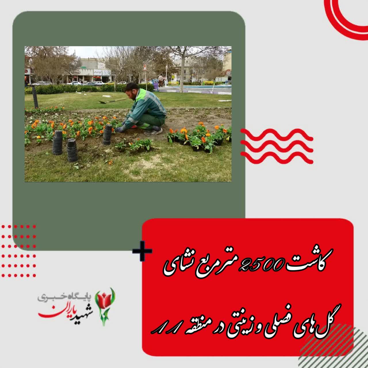 مدیر منطقه ۱۱ شهرداری اصفهان خبر داد:کاشت ۲۵۰۰ مترمربع نشای گل‌های فصلی و زینتی در منطقه ۱۱