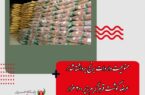 مدیرکل دفتر بازرگانی داخلی وزارت جهاد کشاورزی اعلام کرد؛