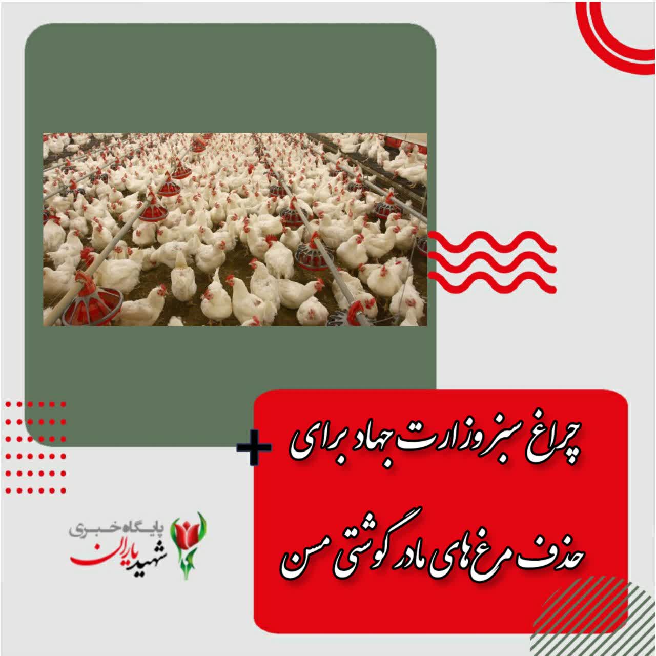 وزارت جهاد کشاورزی اعلام کرده :