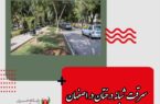 سرقت شبانه درختان در اصفهان / حذف چمن‌های پرمصرف و جایگزینی درختان چنار