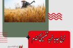مدیرعامل بنیاد ملی گندمکاران: