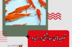 کارشناس مسئول آبزیان و زنبورعسل اداره کل دامپزشکی استان اصفهان مطرح کرد؛