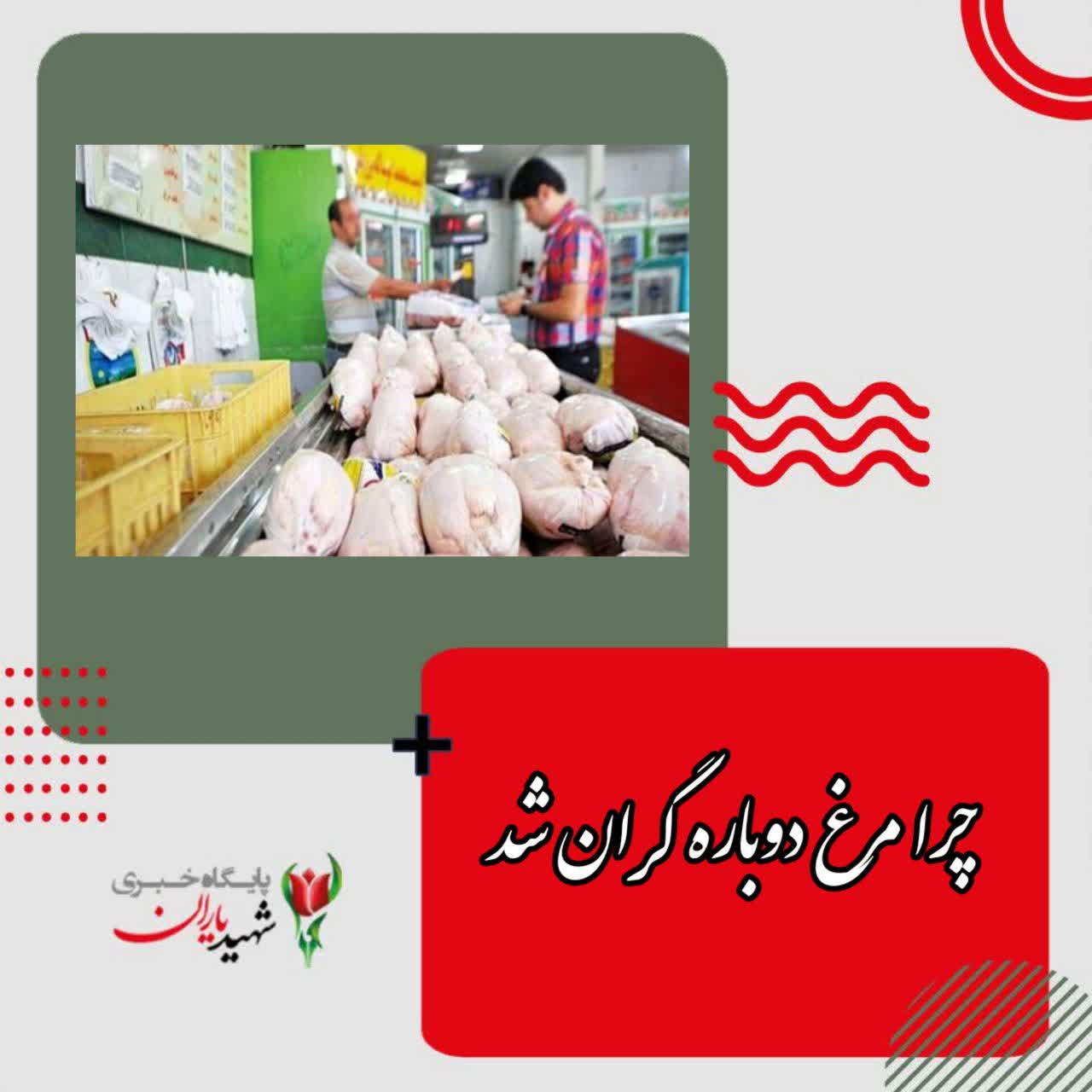 تولیدکننده و مصرف کننده هر ۲ گرفتار قیمت مرغ