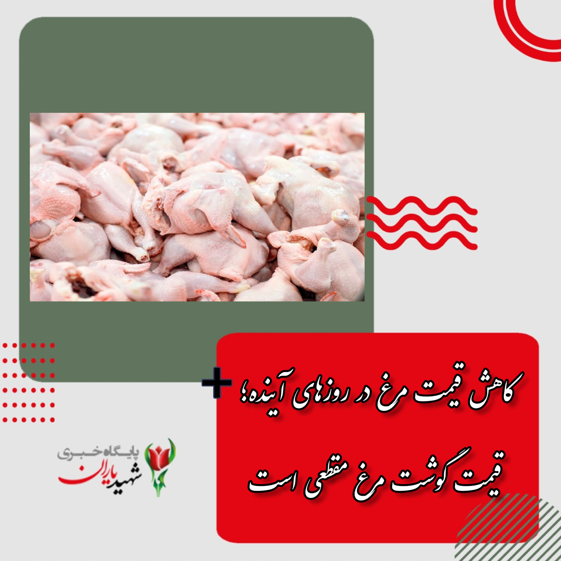 کاهش قیمت در روزهای آینده؛ افزایش قیمت گوشت مرغ مقطعی است