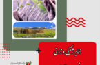 مدیرکل حفاظت محیط زیست استان کردستان: