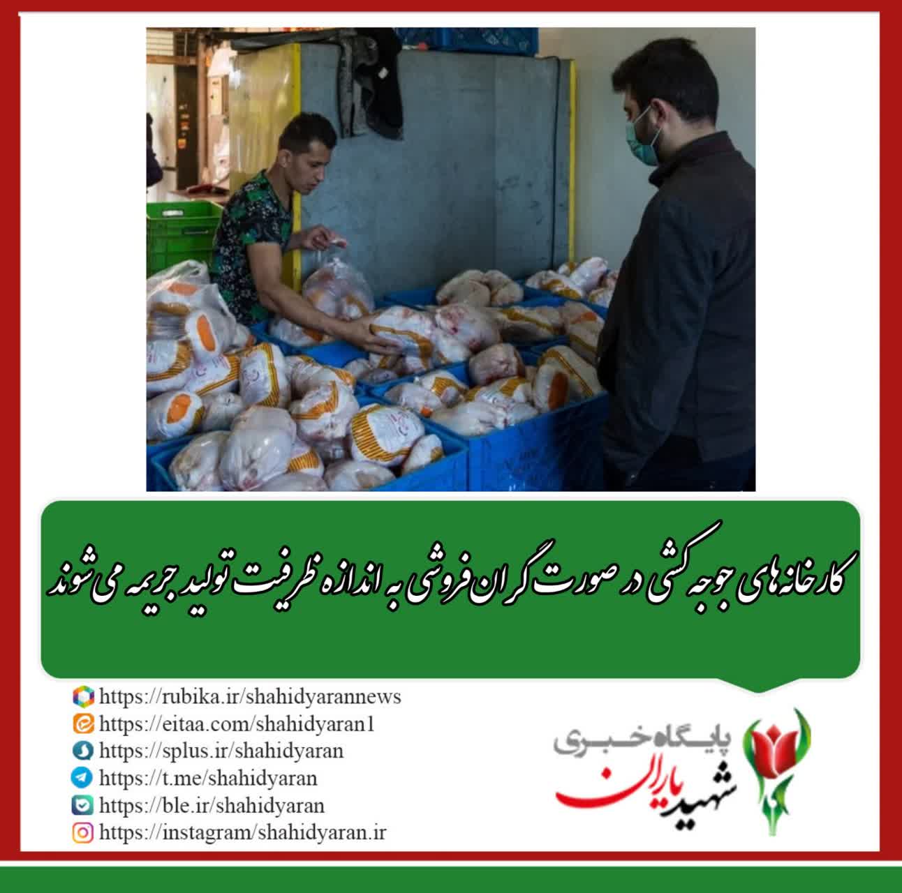 سرپرست وزارت جهاد کشاورزی: کارخانه‌های جوجه‌کشی در صورت گران‌فروشی به اندازه ظرفیت تولید جریمه می‌شوند