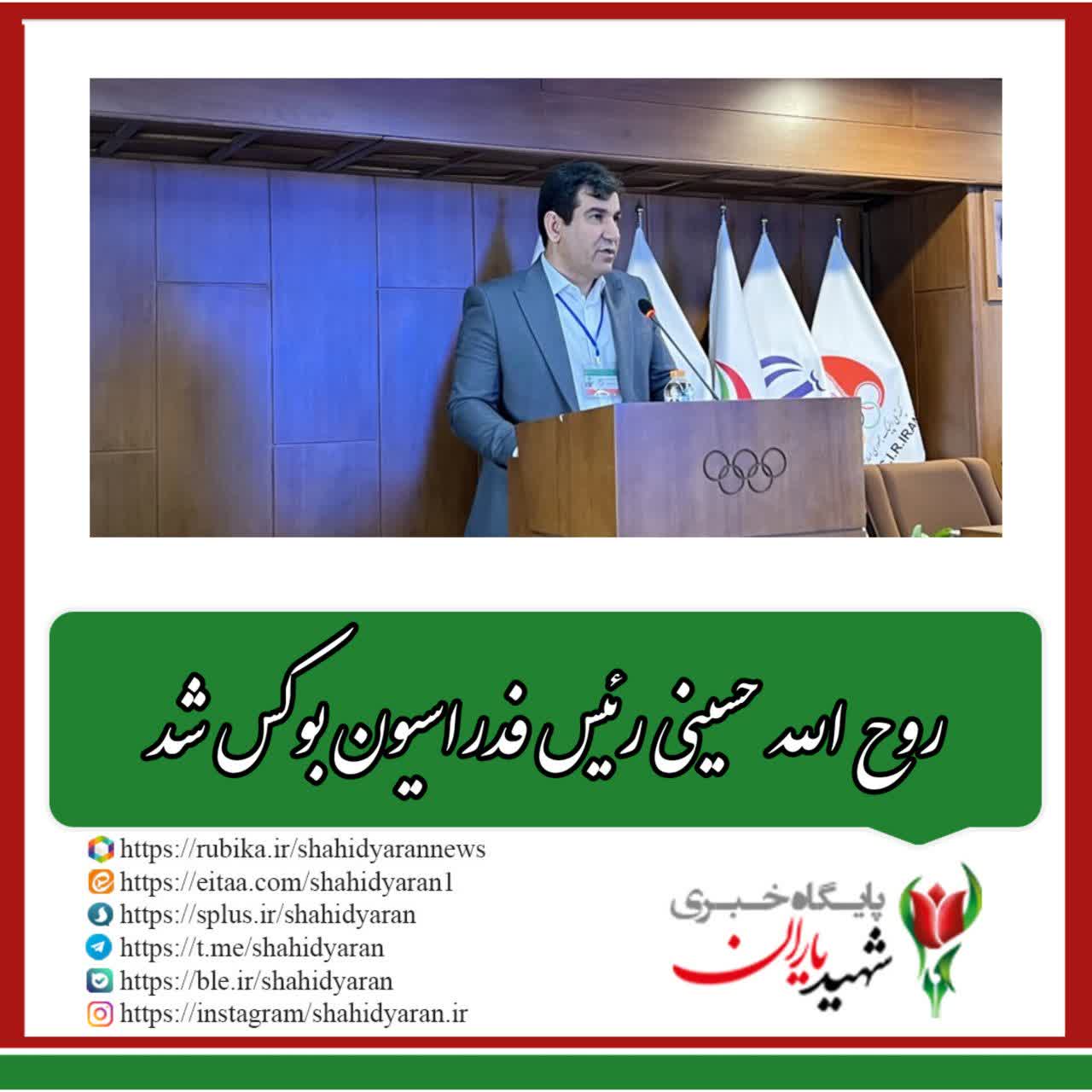 روح الله حسینی رئیس فدراسیون بوکس شد