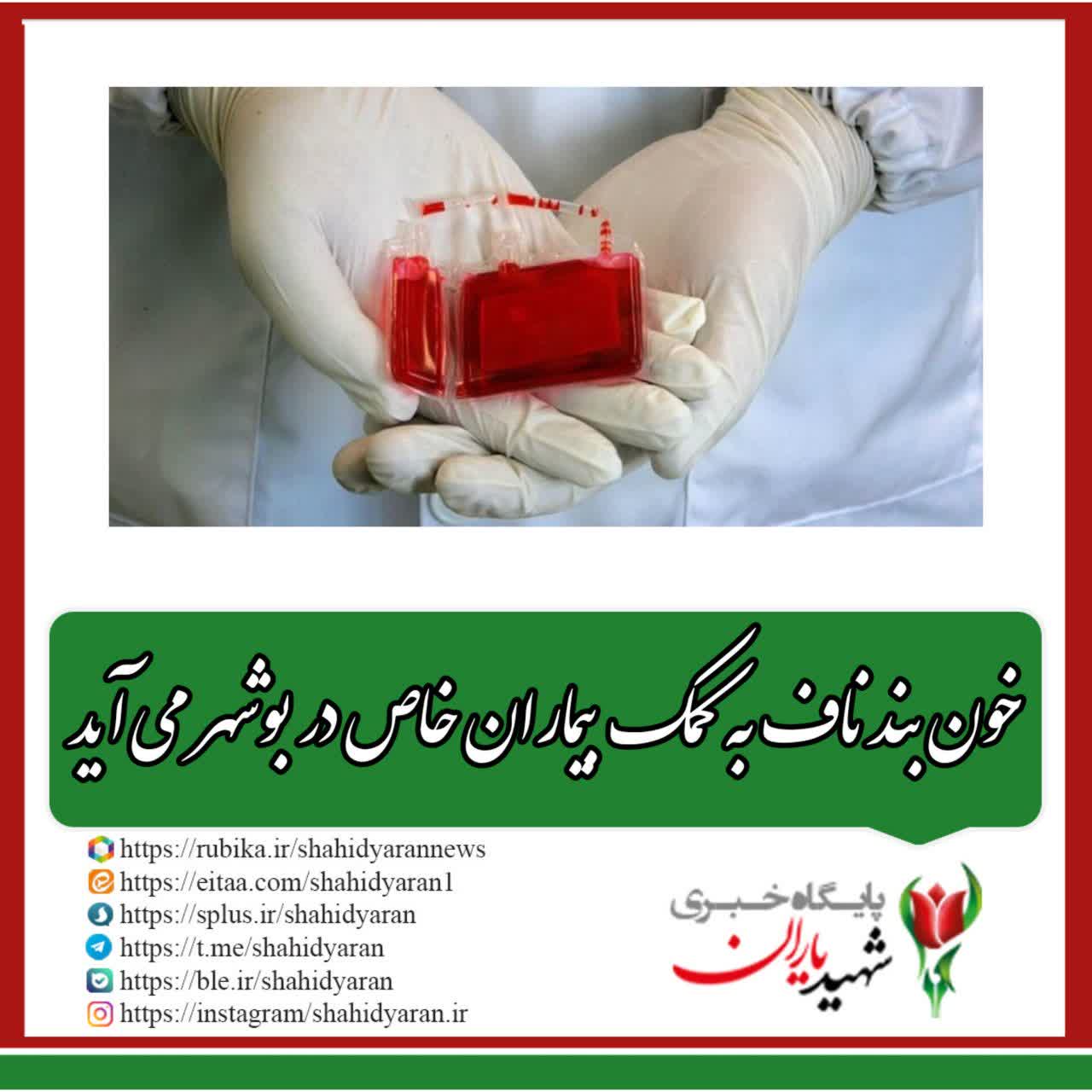 خون بند ناف به کمک بیماران خاص در بوشهر می‌آید