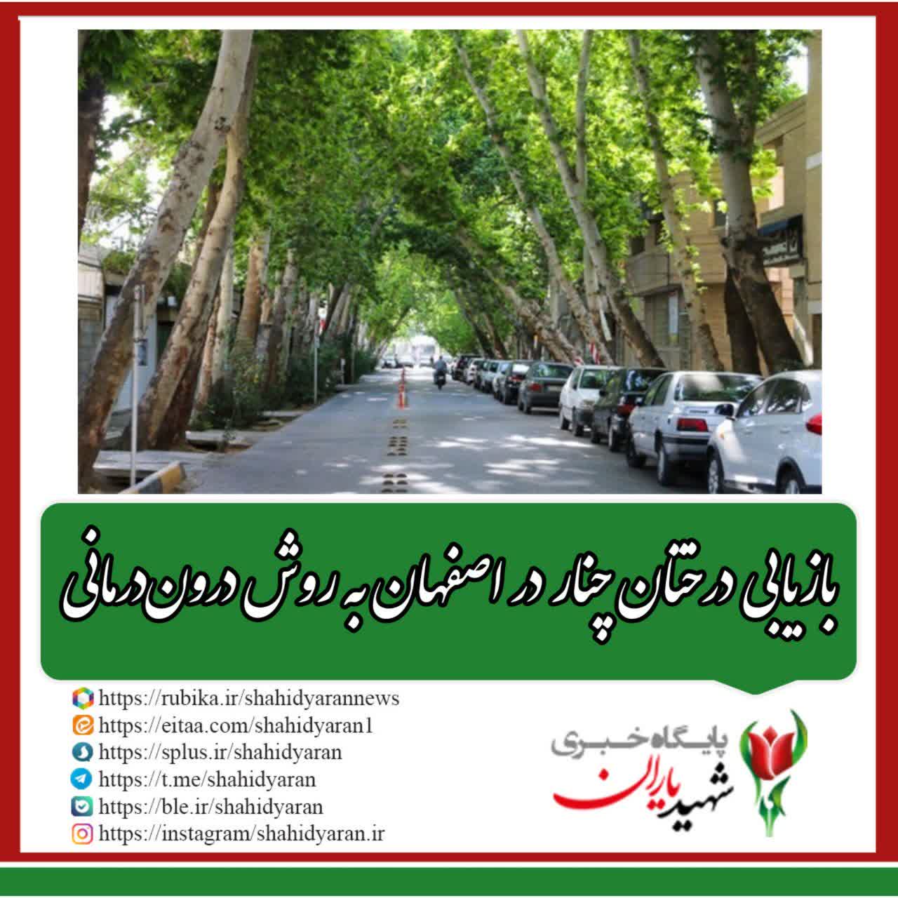 مدیرعامل سازمان پارک‌ها و فضای سبز شهرداری اصفهان خبر داد: