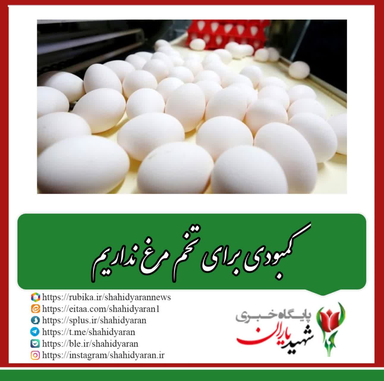 وزارت جهاد کشاورزی؛ کمبودی برای تخم مرغ نداریم