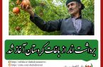 معاون امور باغبانی سازمان جهاد کشاورزی کردستان؛