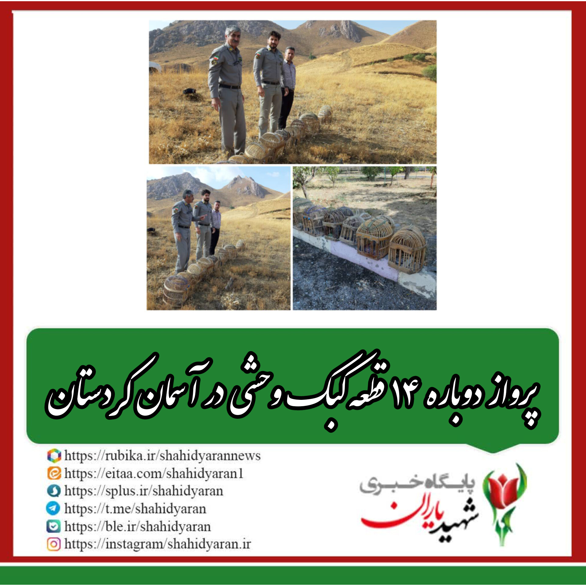 مدیرکل حفاظت محیط زیست کردستان؛