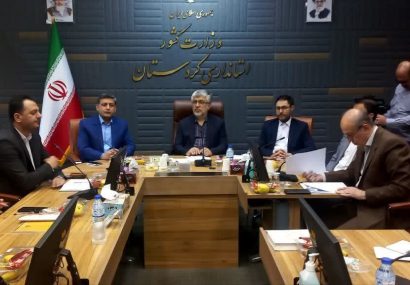 مدیر کل صنعت، معدن و تجارت کردستان: