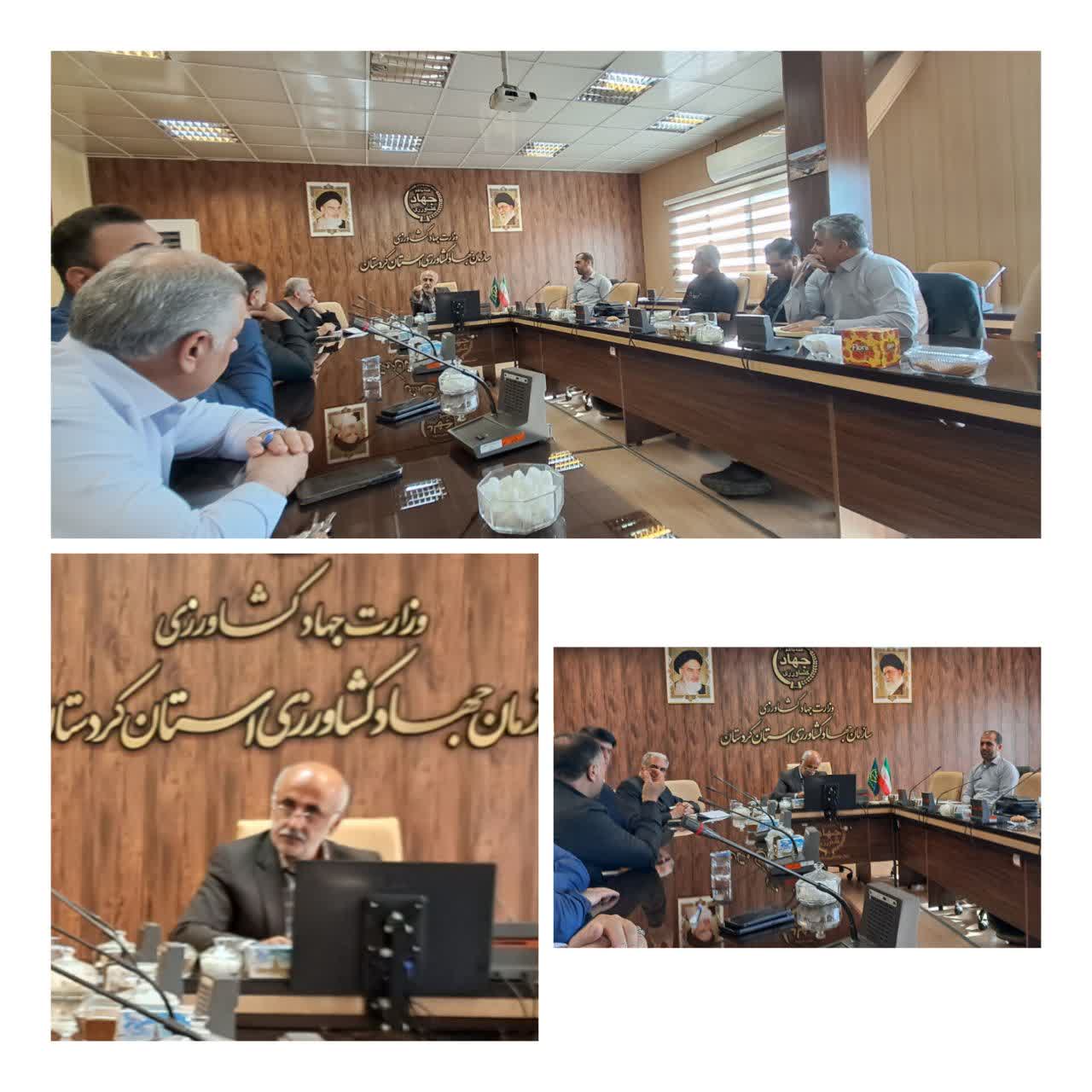 رئیس سازمان جهاد کشاورزی استان کردستان: