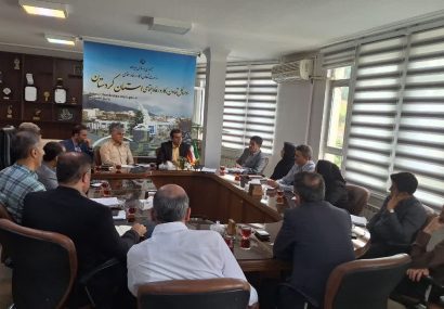 مدیر کل کار کردستان: