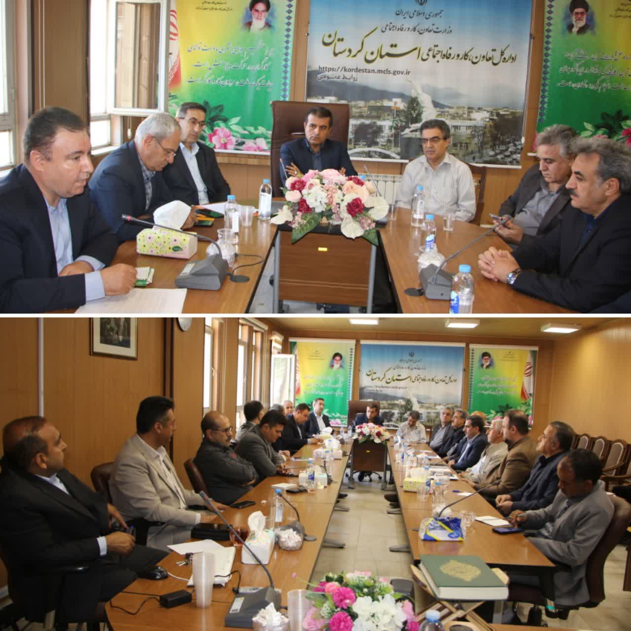 مدیر کل تعاون کردستان: