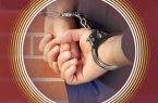 رئیس کل دادگستری استان کردستان خبر داد: