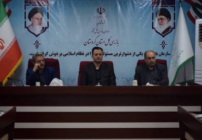 معاون نظارت و بازرسی کل استان کردستان: