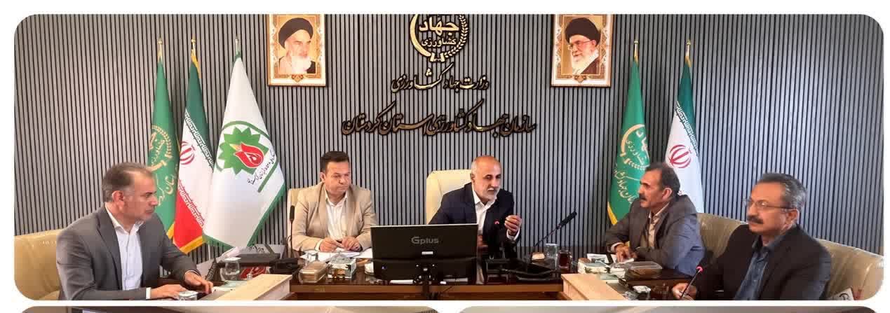 رئیس سازمان جهاد کشاورزی استان کردستان: