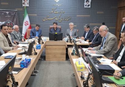 مدیر کل صنعت، معدن و تجارت کردستان: