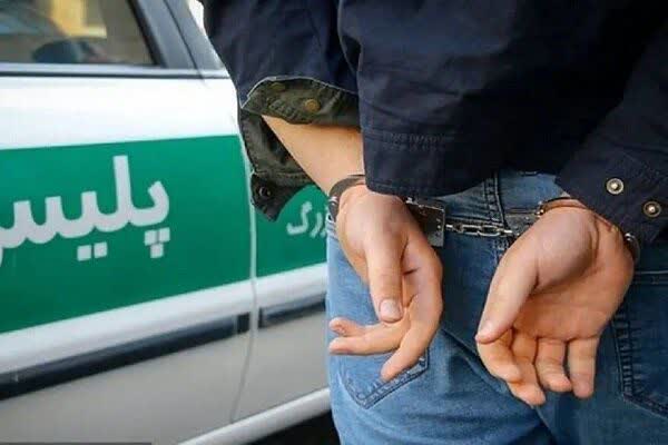 فرمانده انتظامی شهرستان دهگلان:
