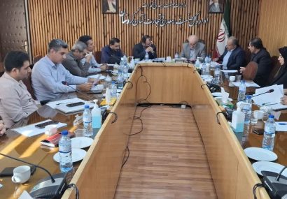 مدیرکل صنعت، معدن و تجارت کردستان اعلام کرد: