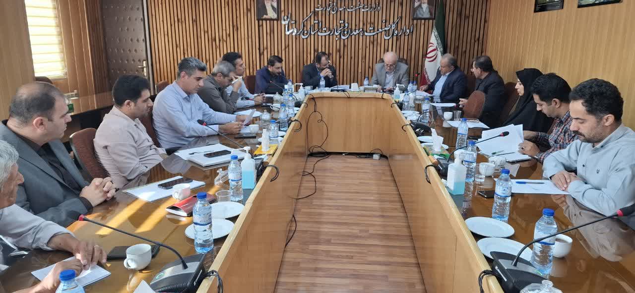 مدیرکل صنعت، معدن و تجارت کردستان اعلام کرد: