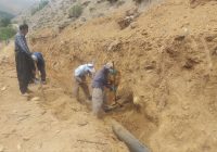 به نقل از روابط عمومی مدیریت جهاد کشاورزی شهرستان سنندج: