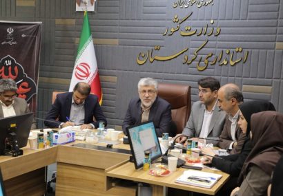 معاون هماهنگی امور اقتصادی و توسعه منطقه‌ای استاندار کردستان: