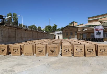 با حضور رییس سازمان بهزیستی کشور: