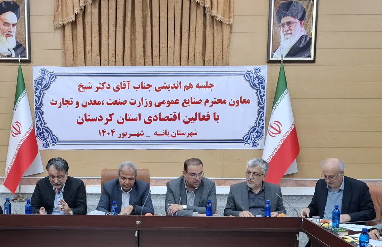 معاون صنایع عمومی وزارت صنعت، معدن و تجارت تأکید کرد: