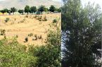 دو اثر طبیعی ارزشمند استان کردستان: