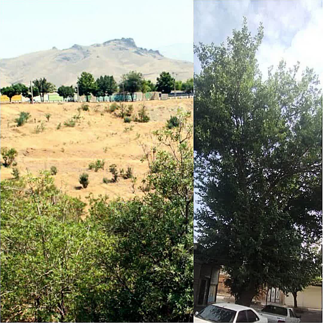 دو اثر طبیعی ارزشمند استان کردستان: